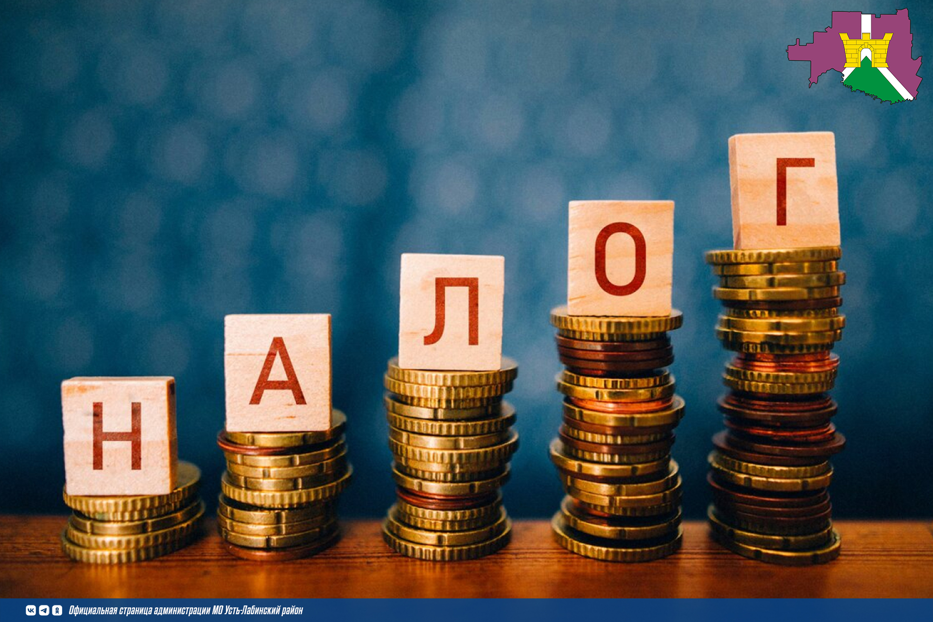 Срок уплаты налогов – не позднее 1 декабря 