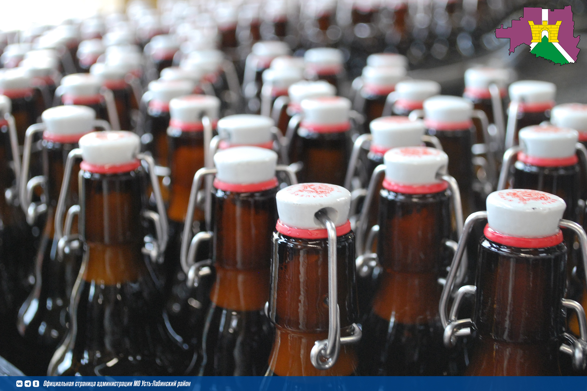 С 1 июня становится обязательным поэкземплярный вывод из оборота через контрольно-кассовую технику для пива и пивных напитков в потребительской упаковке