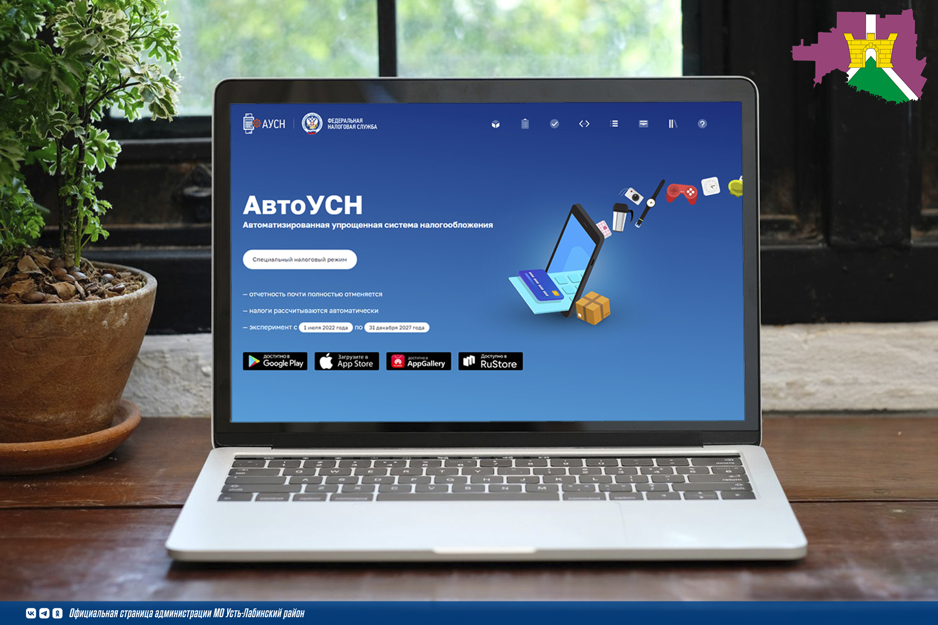 АвтоУСН: успеть проконтролировать данные из банка не позднее 7-го числа