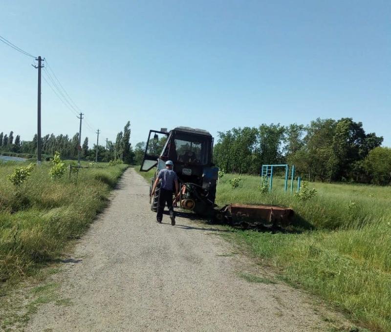 В Усть-Лабинском районе борются с амброзией