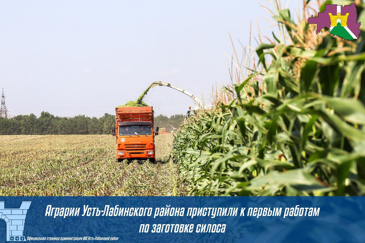 Аграрии Усть-Лабинского района приступили к первым работам по заготовке силоса
