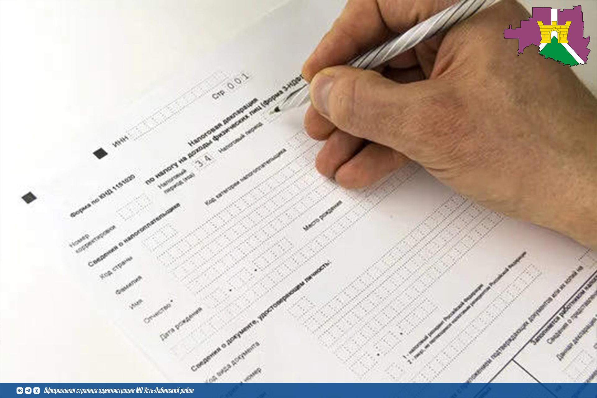 В какие сроки и кому нужно предоставить декларацию 3-НДФЛ