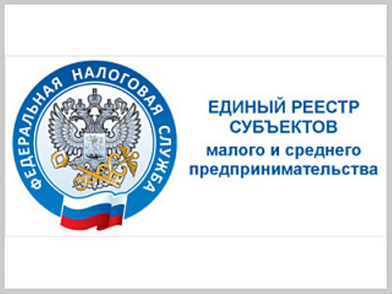 Единый реестр субъектов