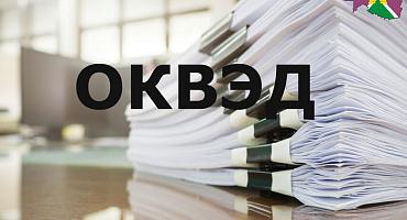 С этого года начался переход на новый порядок определения кодов ОКВЭД