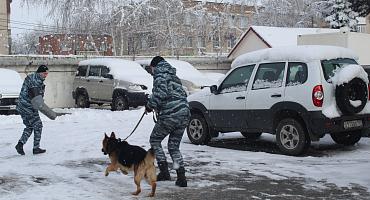 "Студенческий десант" высадился в полиции Усть-Лабинского района