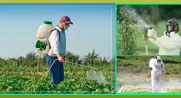 Пестициды и агрохимикаты 