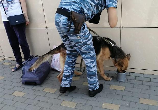 Кинологи с собаками искали взывчатку на автовокзале в Усть-Лабинске