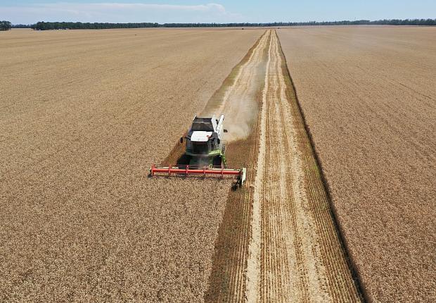 В «Прогресс Агро» закончилась уборка озимой пшеницы