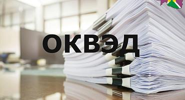 Запущен новый сервис выбора кодов ОКВЭД