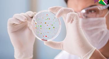 Профилактика острых кишечных инфекций 