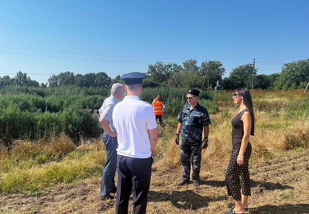В рамках проведения межведомственной комплексной оперативно-профилактической операции «МАК-2025» на территории Ладожского поселения Усть-Лабинского района состоялось рейдовое мероприятие по выявлению и уничтожению произрастания очагов дикорастущей конопли