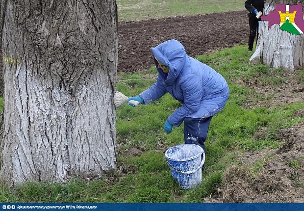 На территории района продолжаются субботники, в рамках двухмесячника по наведению санитарного порядка.