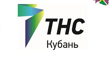 Миллионные долги и криптоферма: что нашли сотрудники «ТНС энерго Кубань» в Южном районе Новороссийска