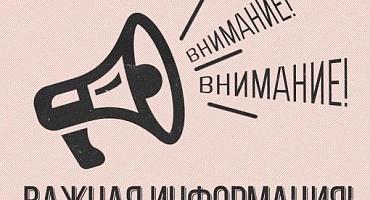 Как быстро проверить и оплатить налоговую задолженность