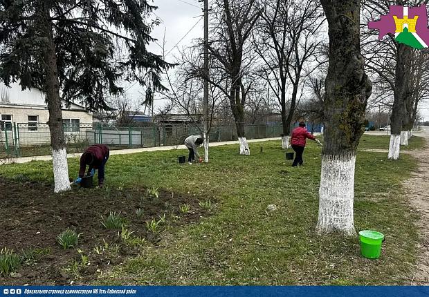 На территории района продолжаются субботники, в рамках двухмесячника по наведению санитарного порядка.