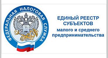 Единый реестр субъектов
