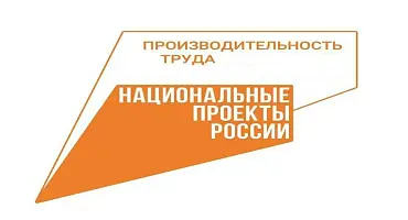 Специалисты Регионального центра компетенций ведут обучение в рамках федерального проекта «Производительность труда» нацпроекта «Эффективная и конкурентная экономика».